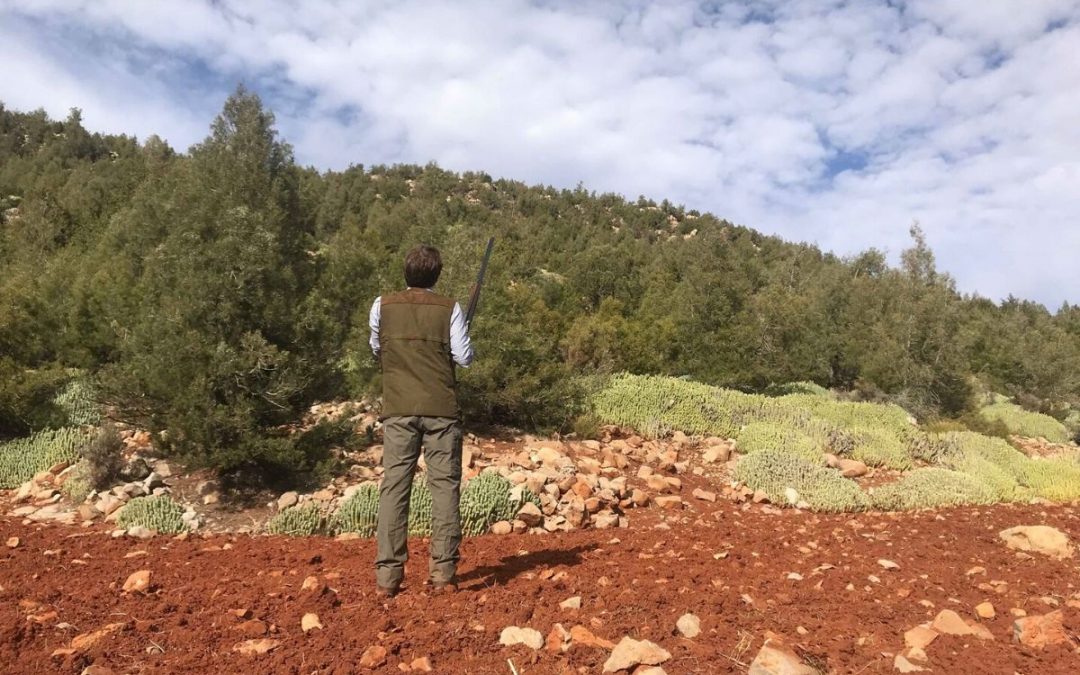 Driven Barbary Partridge – Morocco – 1 Day – 300 Birds – £2620