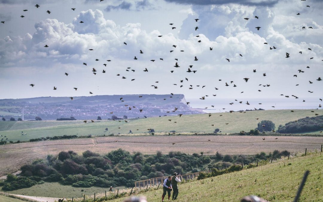 Iford Downs – Partridge Shooting – Sussex