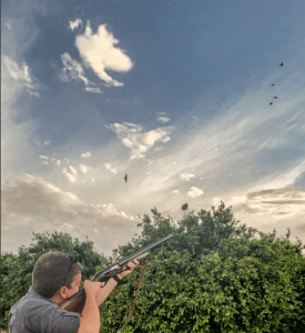 Dove Shooting In Morocco