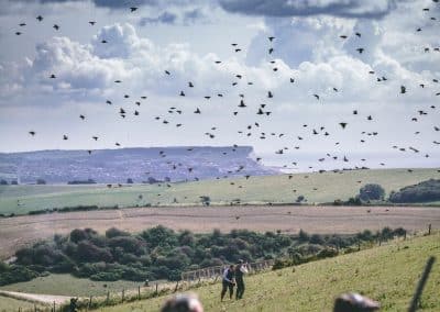 Iford Downs – Partridge Shooting in Sussex