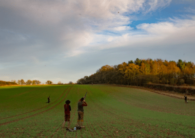 Steventon – Pheasant And Partridge Shooting In Hampshire